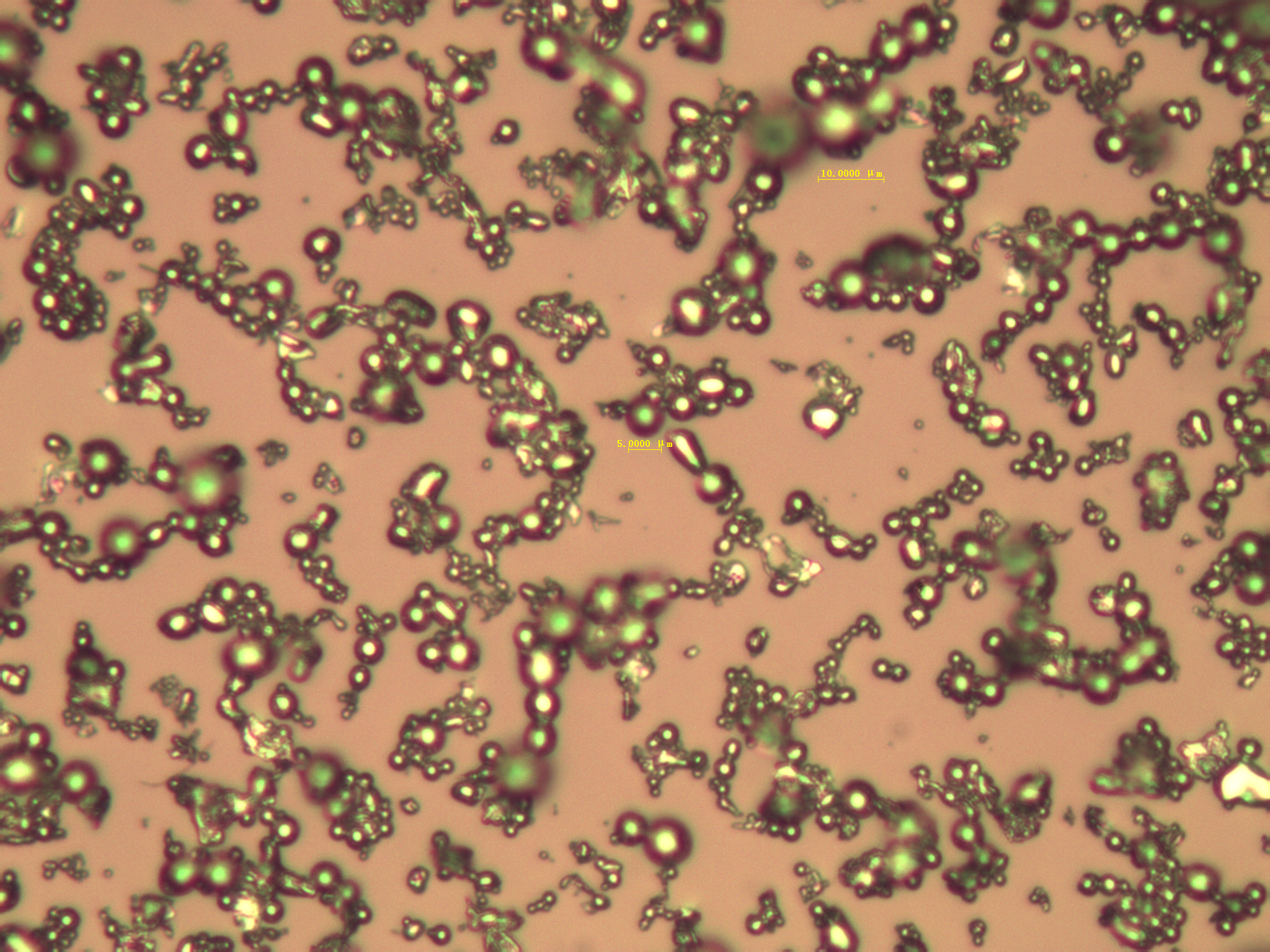 水氣霧化不銹鋼粉
